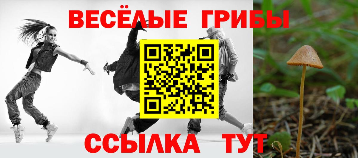Галлюциногенные грибы мухоморы  Вход с VPN  как найти   Звенигород 